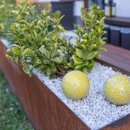 Apartment Ursula Maria